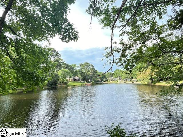 302 Cherry Hill Road Greenville, SC 29607 - Photo 48 of 50