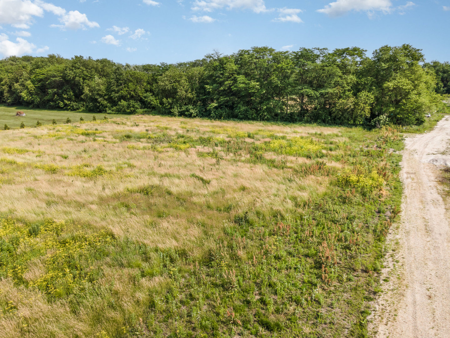 Lot 6 East Grand Ridge Road Mazon, IL 60444 - Photo 3 of 7
