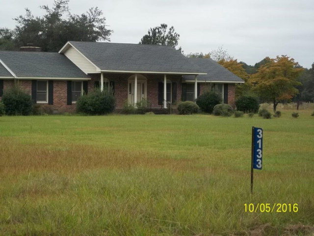 3133 Edisto River Road Branchville, SC 29432 - Photo 1 of 1 Main View