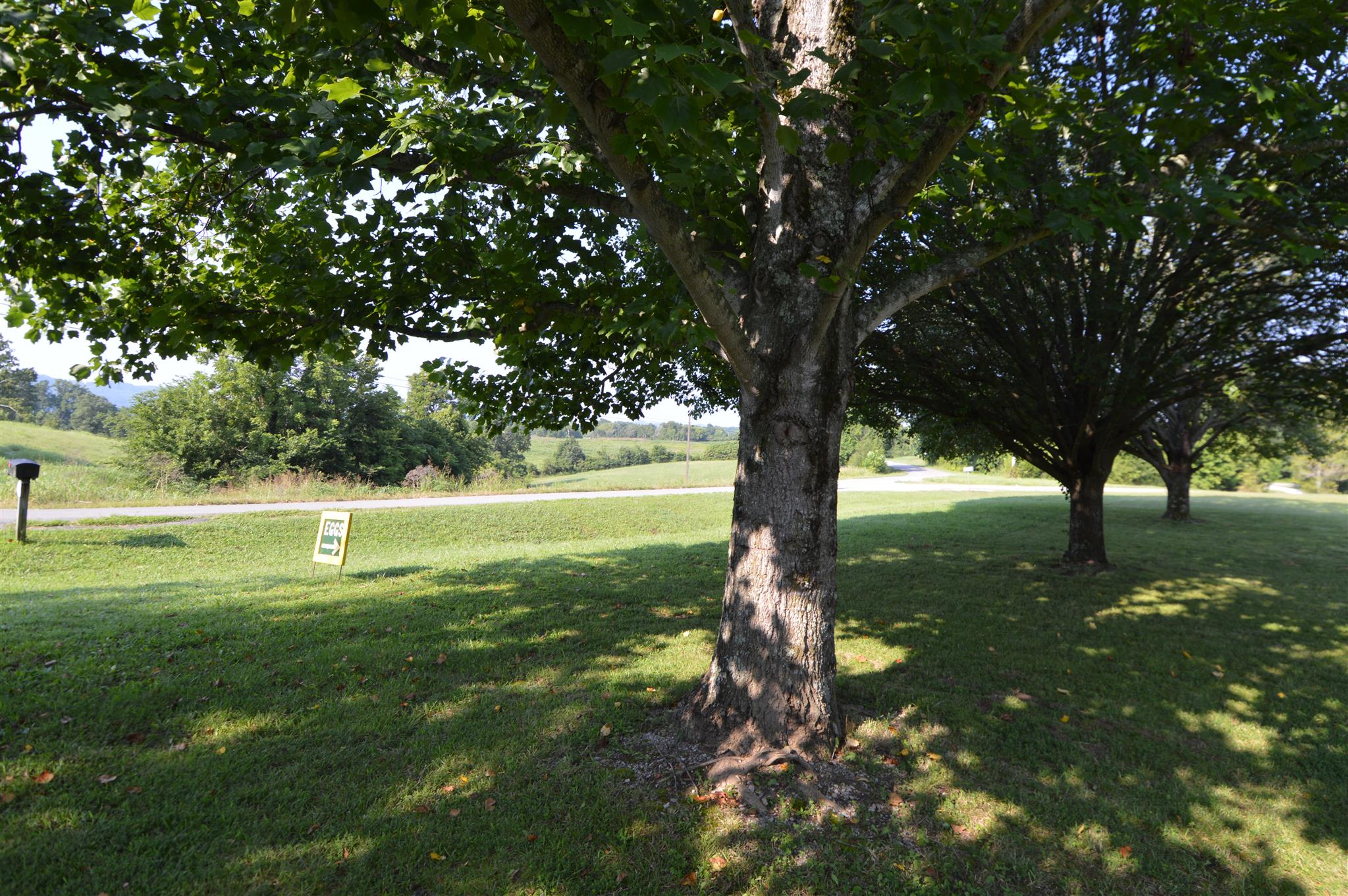 2615 New Hope Road Alexandria, TN 37012 - Photo 29 of 30 Gallery Image 29