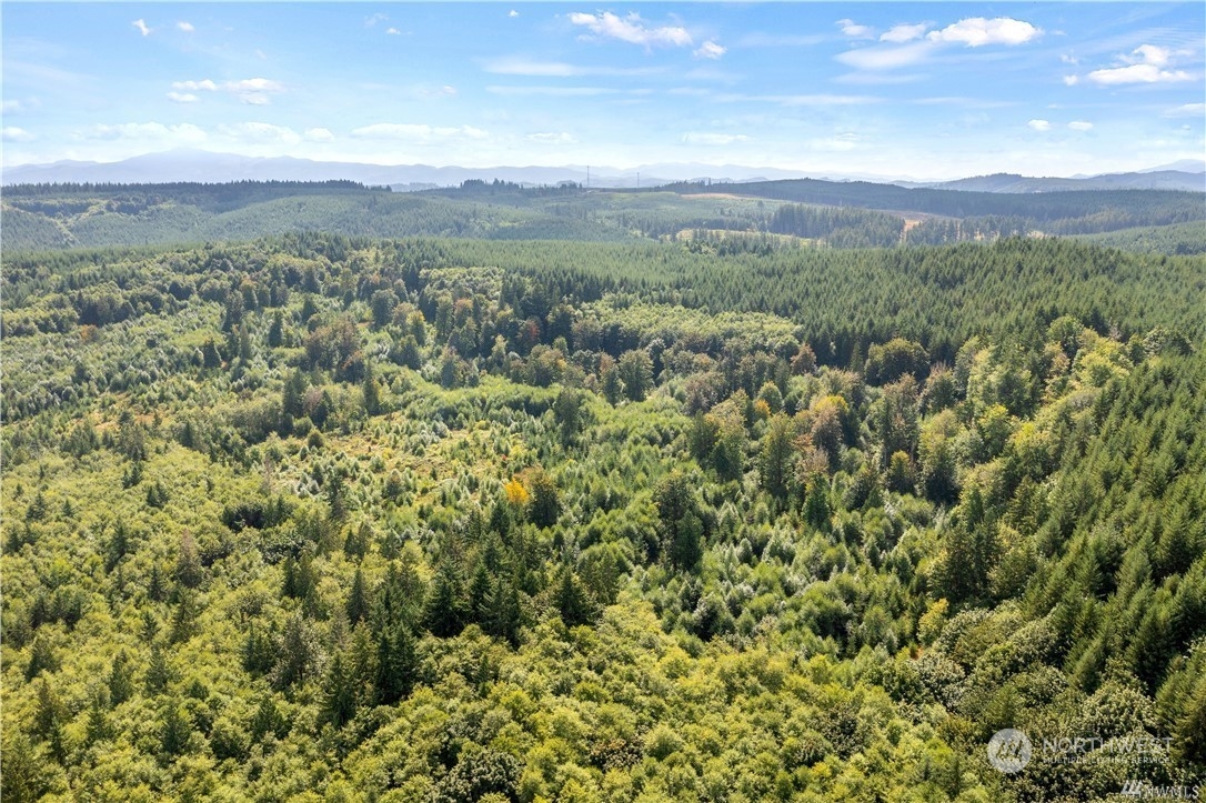 3 Ceres Hill Road Chehalis, WA 98532 - Photo 8 of 10 a view of a city with lush green forest