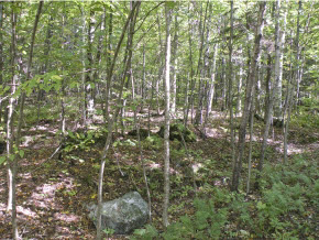 1518 Notch Road Bolton, VT 05465 - Photo 14 of 33