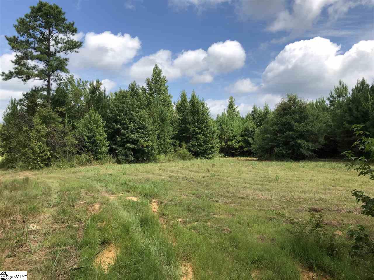 0 Log Creek Road Edgefield, SC 29824 - Photo 1 of 7