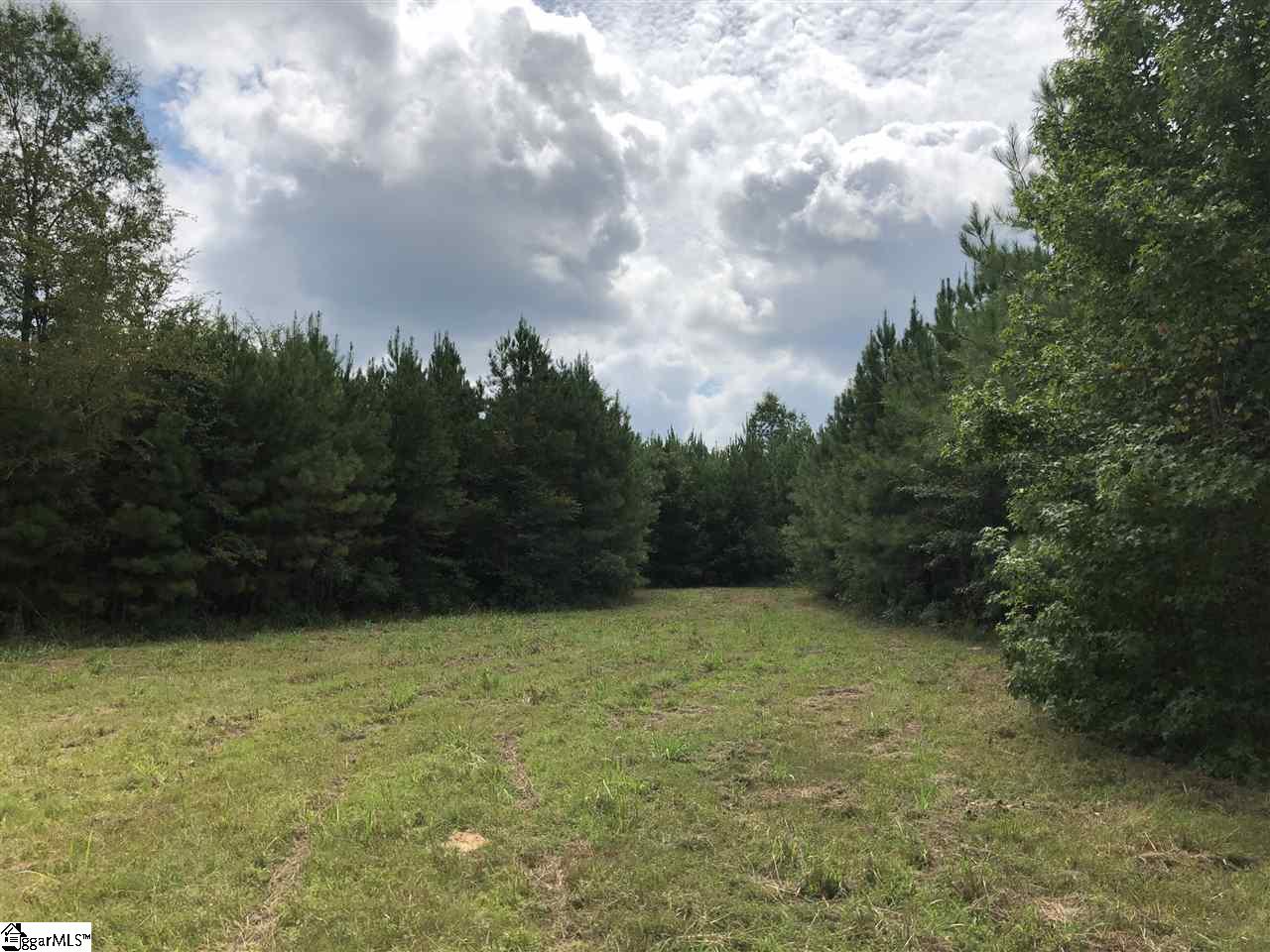 0 Log Creek Road Edgefield, SC 29824 - Photo 2 of 7