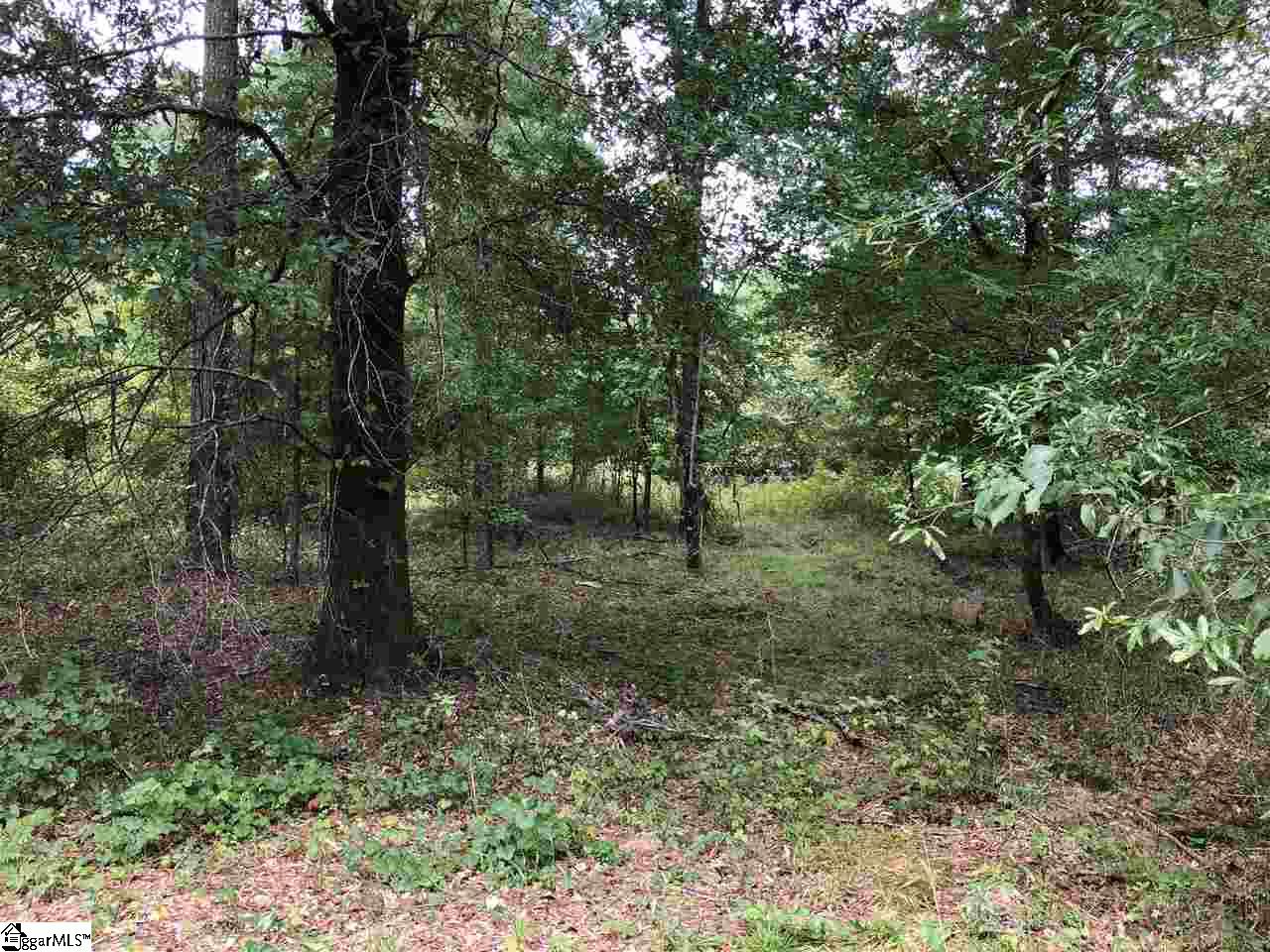 0 Log Creek Road Edgefield, SC 29824 - Photo 3 of 7
