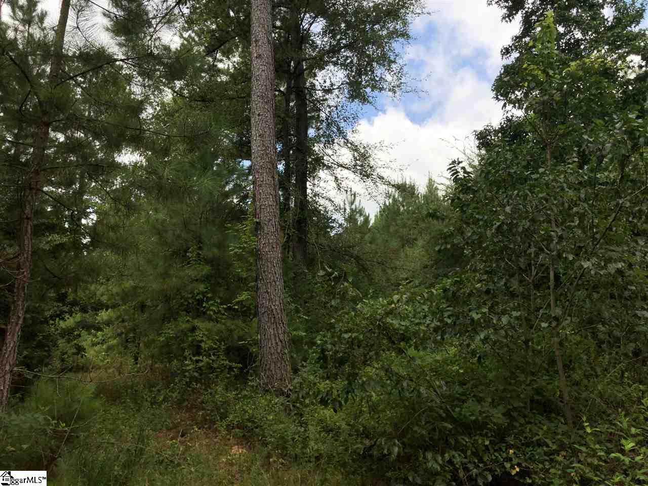 0 Log Creek Road Edgefield, SC 29824 - Photo 4 of 7