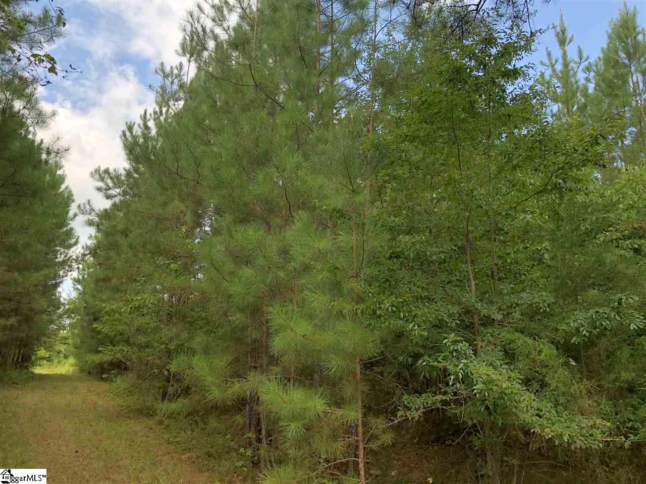 0 Log Creek Road Edgefield, SC 29824 - Photo 5 of 7