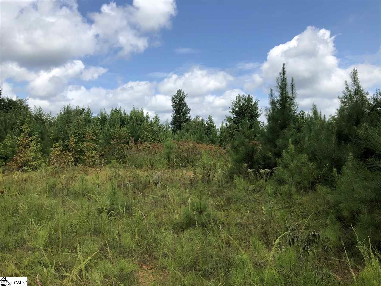 0 Log Creek Road Edgefield, SC 29824 - Photo 6 of 7