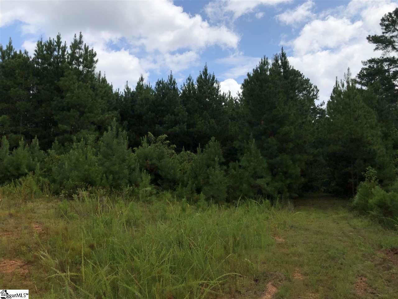 0 Log Creek Road Edgefield, SC 29824 - Photo 7 of 7