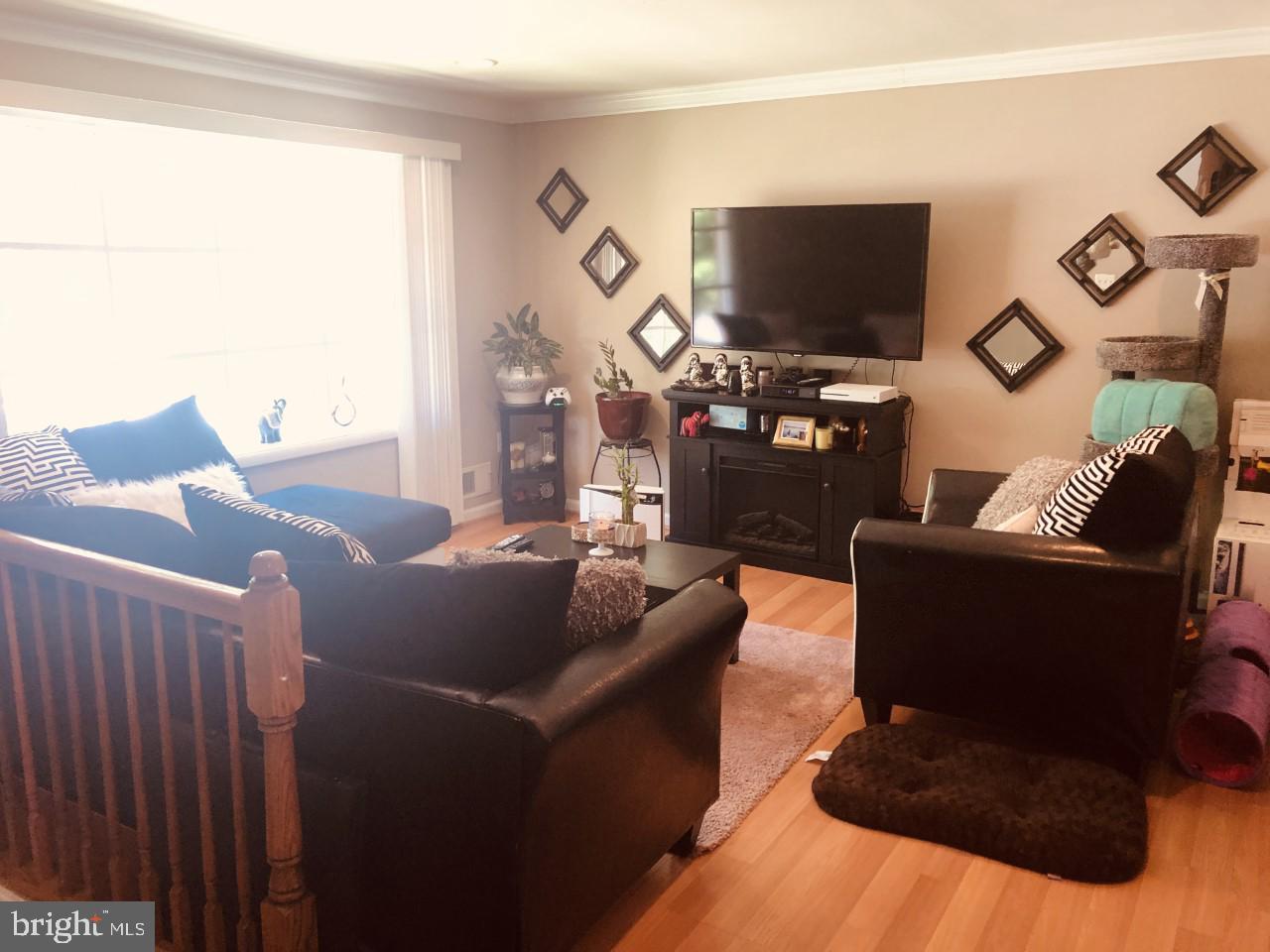 3915 Forge Drive Woodbridge, VA 22193 - Photo 6 of 29 LIVING ROOM