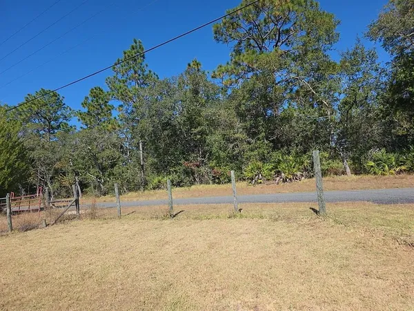 a view of swimming pool with a yard