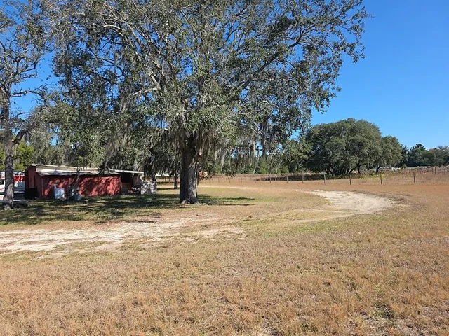 a view of backyard and window