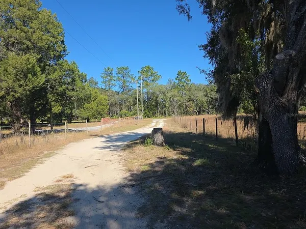 a view of a yard with a tree