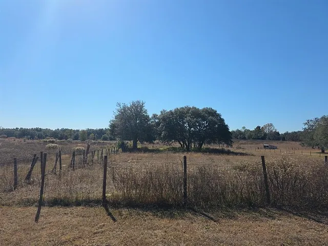a view of outdoor space with trees
