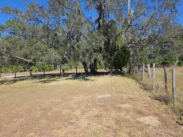 a view of a yard with a tree