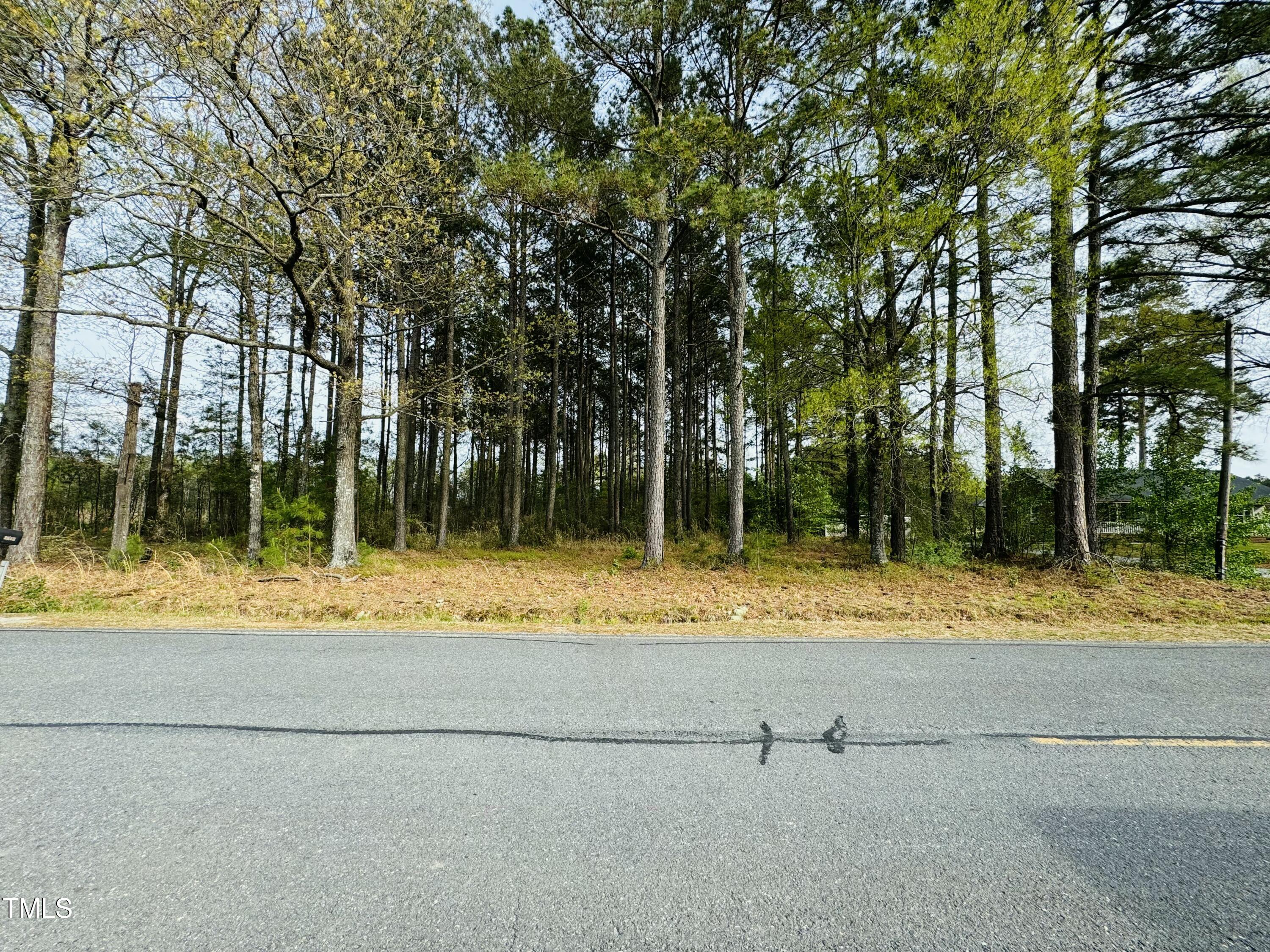 0 Shoeheel Road Kenly, NC 27542 - Photo 2 of 3 IMG_3078
