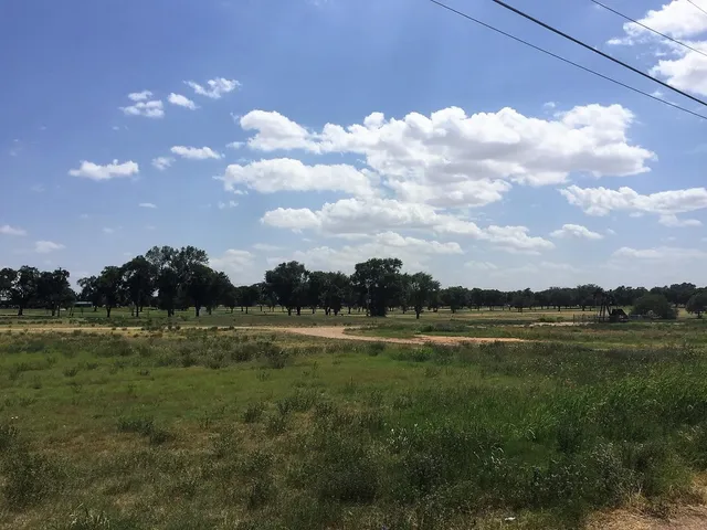 a view of a golf course with a lake