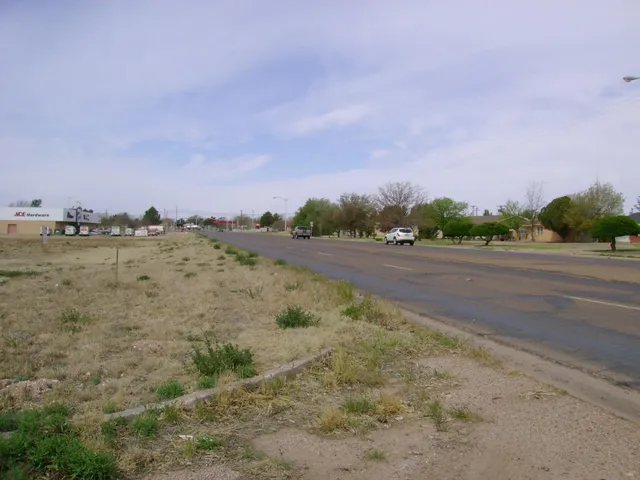 a view of a dry yard with trees