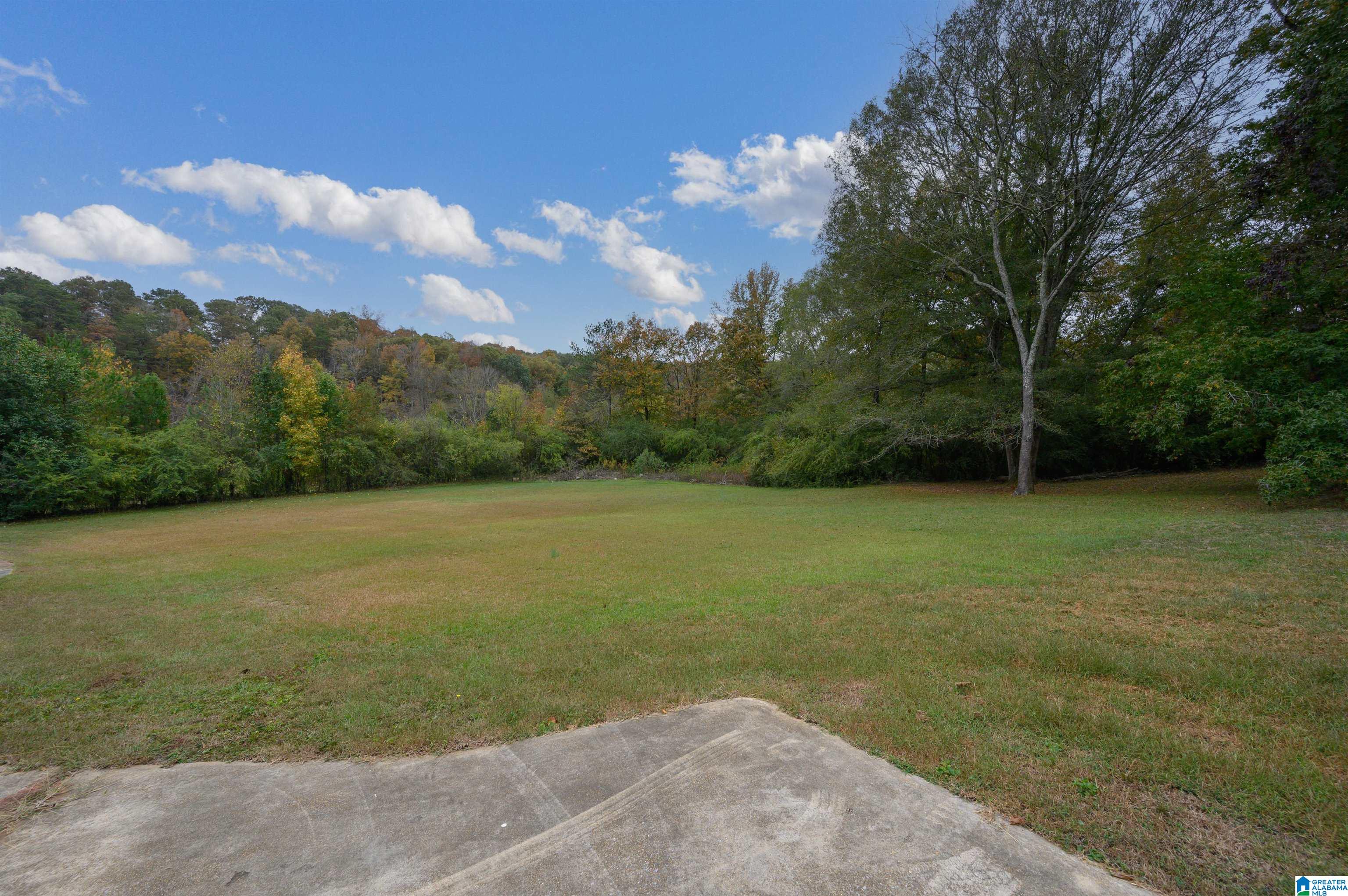 8988 Bankston Road Warrior, AL 35180 - Photo 45 of 47