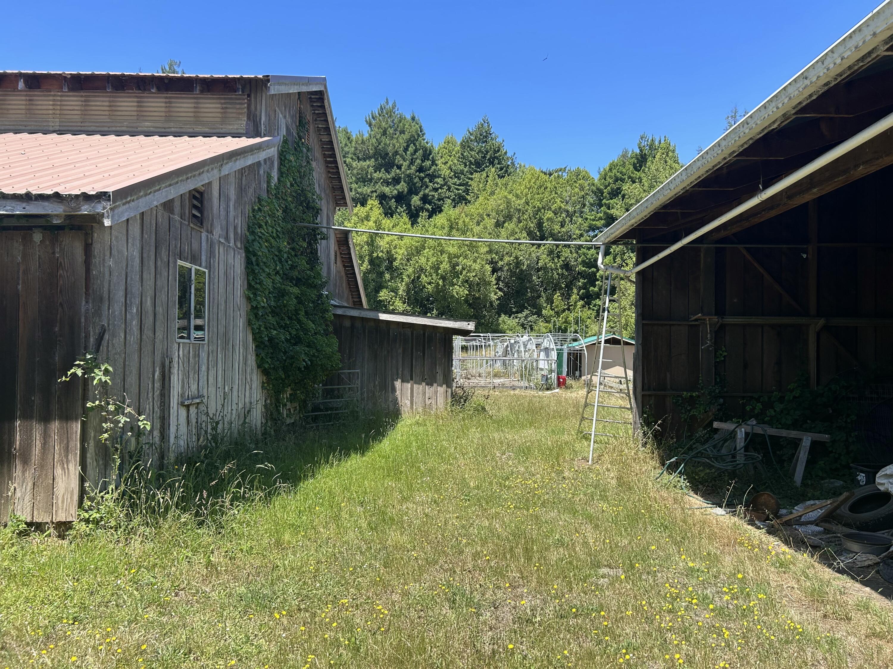 253 Price Creek Road Ferndale, CA 95536 - Photo 43 of 64