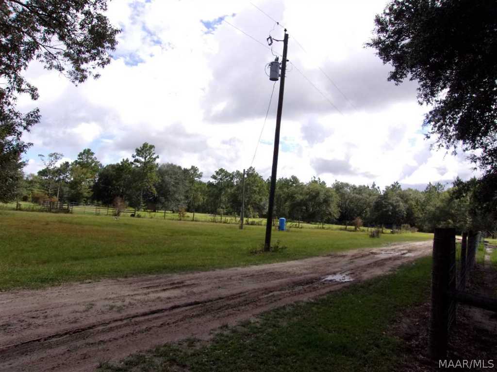 2037 Iron Bridge Road Samson, AL 36477 - Photo 33 of 36 Leaving the home
