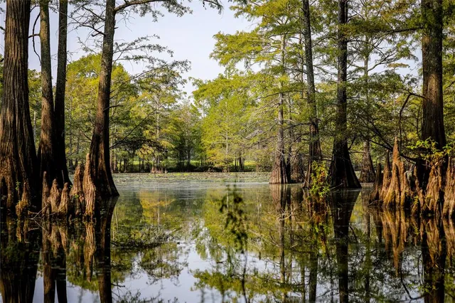 $2,150,000 | Tbd Moon Lake Road, Jefferson, TX 75657