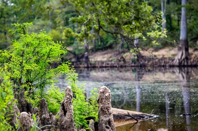 $2,150,000 | Tbd Moon Lake Road, Jefferson, TX 75657