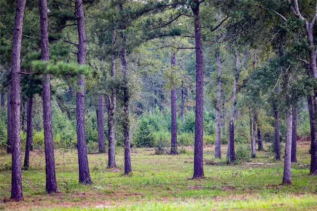 $2,150,000 | Tbd Moon Lake Road, Jefferson, TX 75657