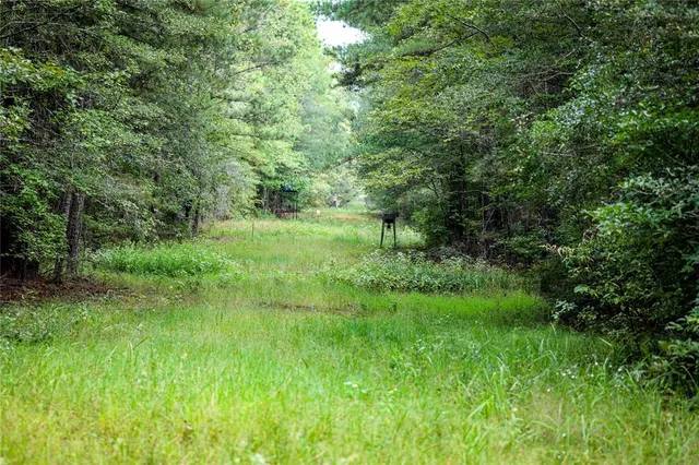 $2,150,000 | Tbd Moon Lake Road, Jefferson, TX 75657