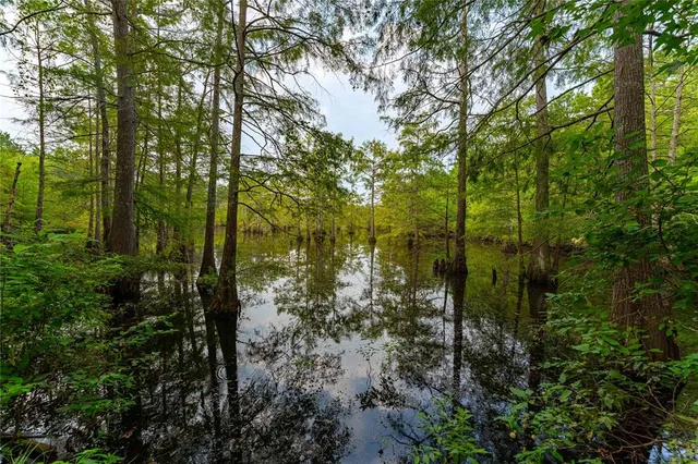 $2,150,000 | Tbd Moon Lake Road, Jefferson, TX 75657