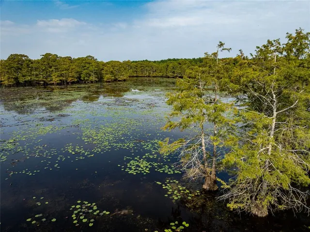 $2,150,000 | Tbd Moon Lake Road, Jefferson, TX 75657