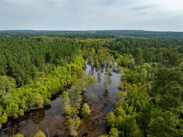 $2,150,000 | Tbd Moon Lake Road, Jefferson, TX 75657