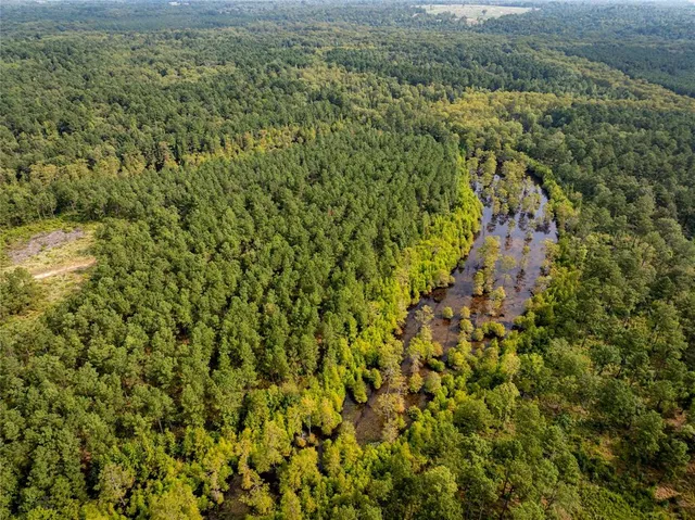 $2,150,000 | Tbd Moon Lake Road, Jefferson, TX 75657