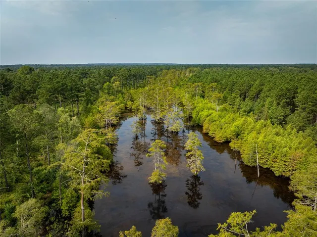 $2,150,000 | Tbd Moon Lake Road, Jefferson, TX 75657