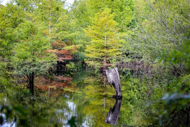 $2,150,000 | Tbd Moon Lake Road, Jefferson, TX 75657