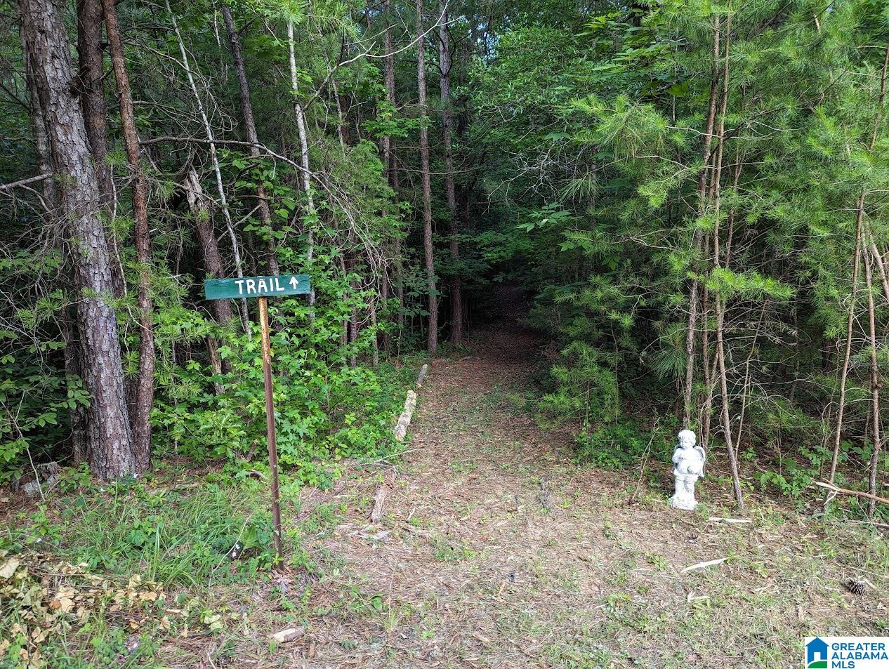 310 County Road 249 Clanton, AL 35046 - Photo 59 of 85