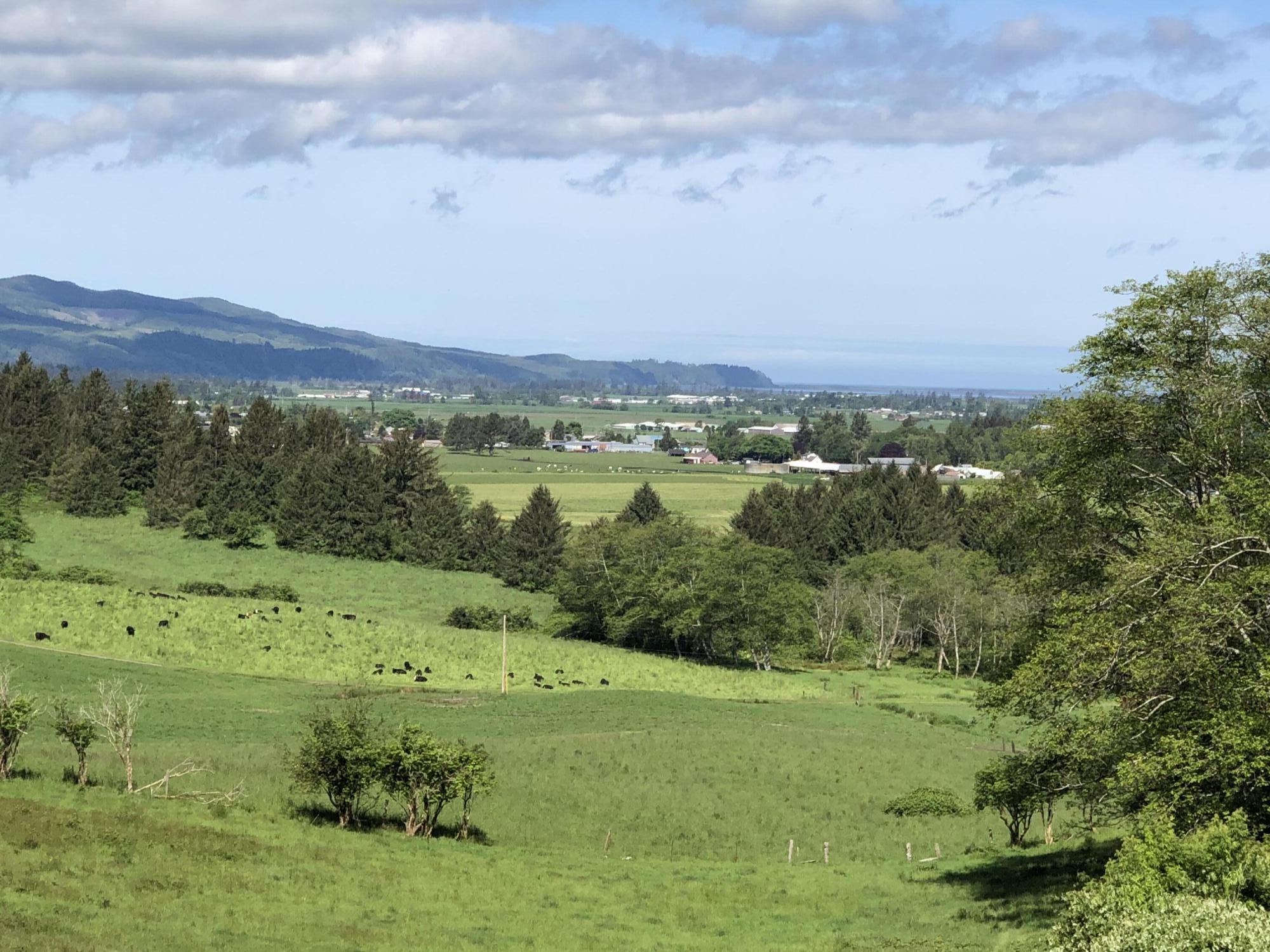 201 Hodgdon Road Tillamook, OR 97141 - Photo 9 of 33 IMG_7839