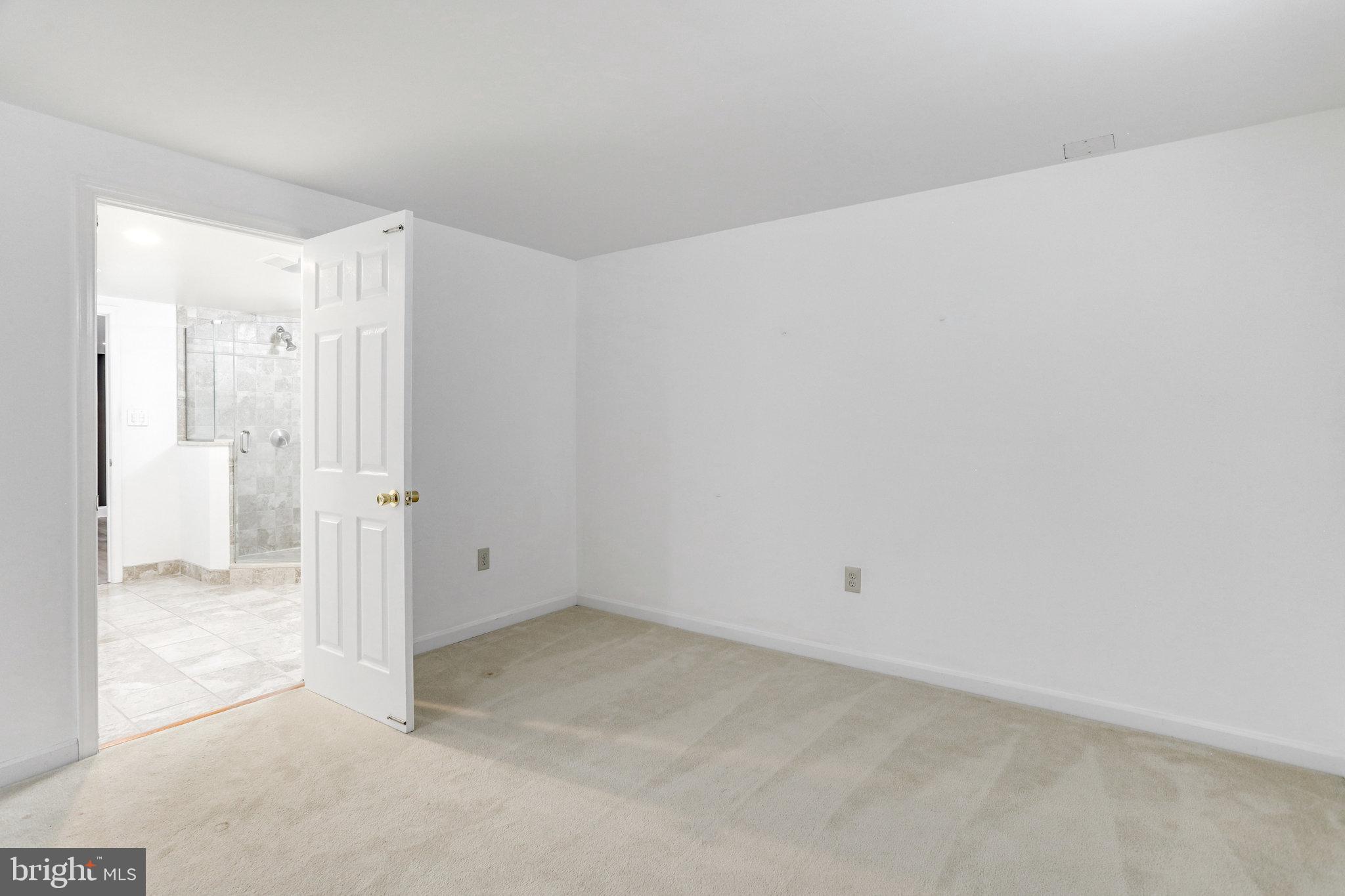 11787 Rowe Road Monrovia, MD 21770 - Photo 43 of 58 Bonus room lower level.