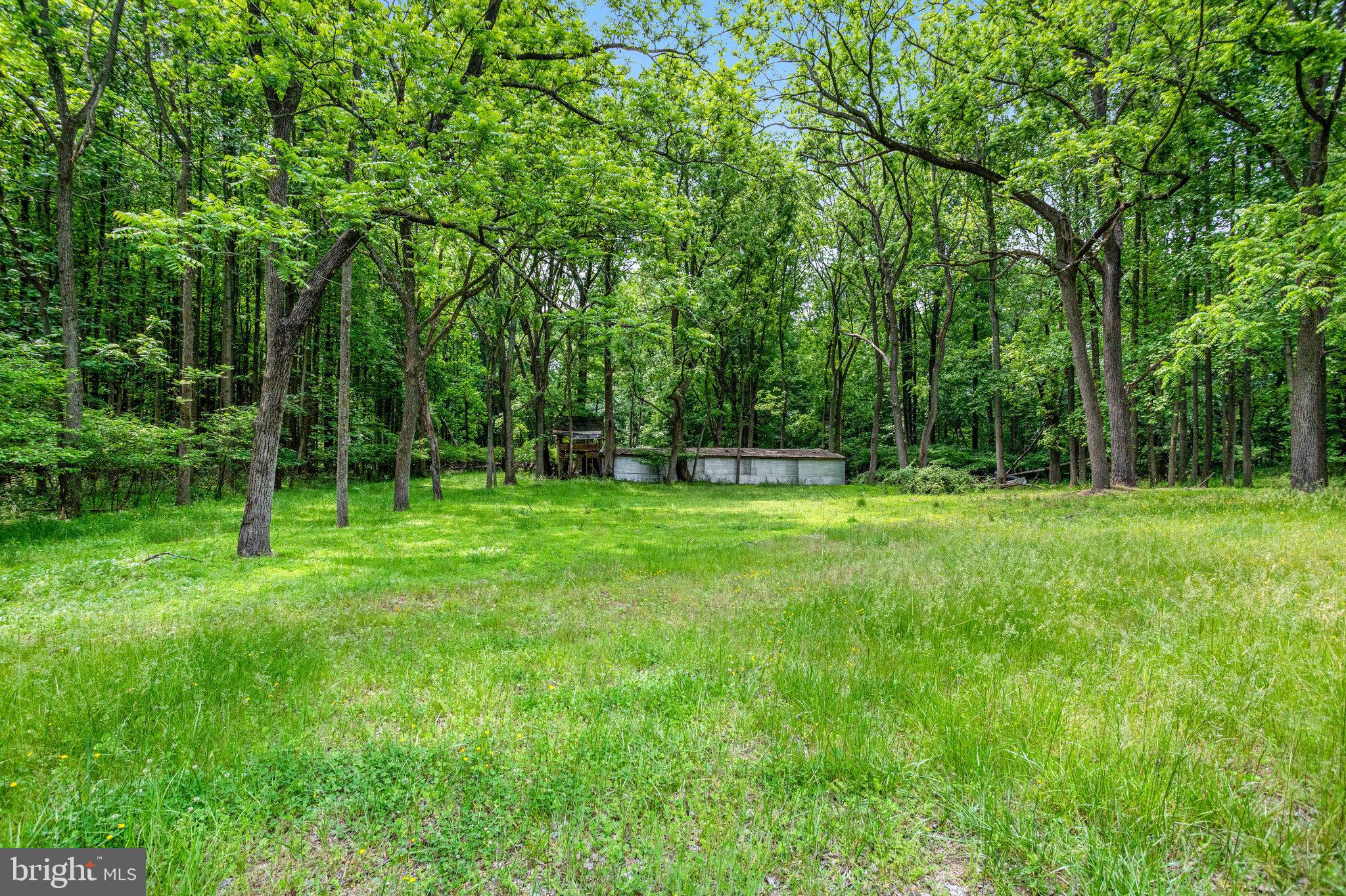 11787 Rowe Road Monrovia, MD 21770 - Photo 55 of 58 Horse stable.