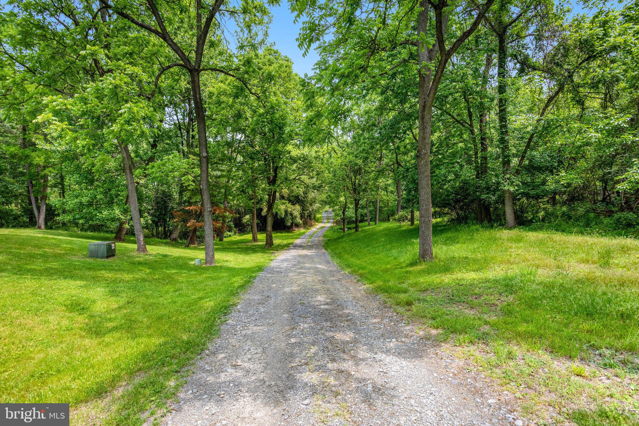11787 Rowe Road Monrovia, MD 21770 - Photo 57 of 58 Driveway leaving property.