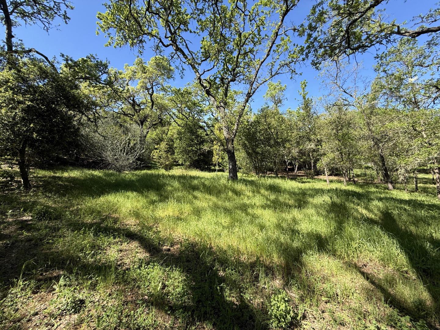 727 Bicknell Road Los Gatos, CA 95030 - Photo 61 of 68