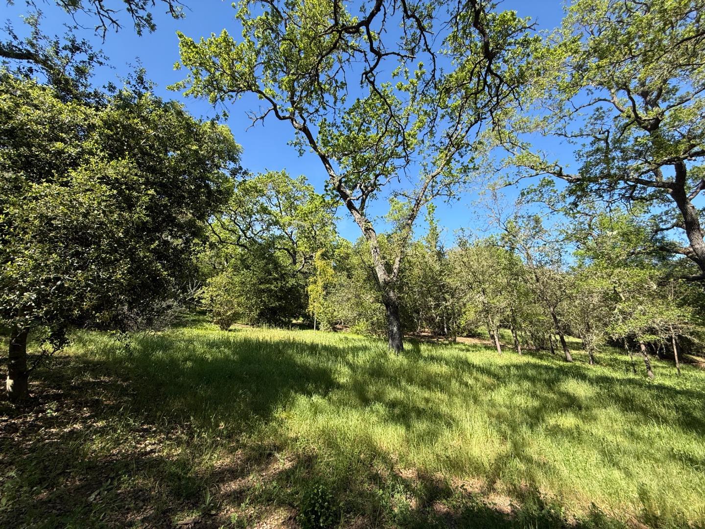 727 Bicknell Road Los Gatos, CA 95030 - Photo 62 of 68