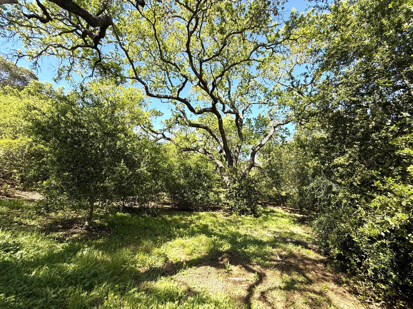 727 Bicknell Road Los Gatos, CA 95030 - Photo 64 of 68