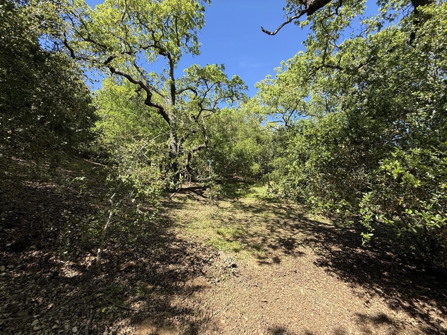 727 Bicknell Road Los Gatos, CA 95030 - Photo 65 of 68