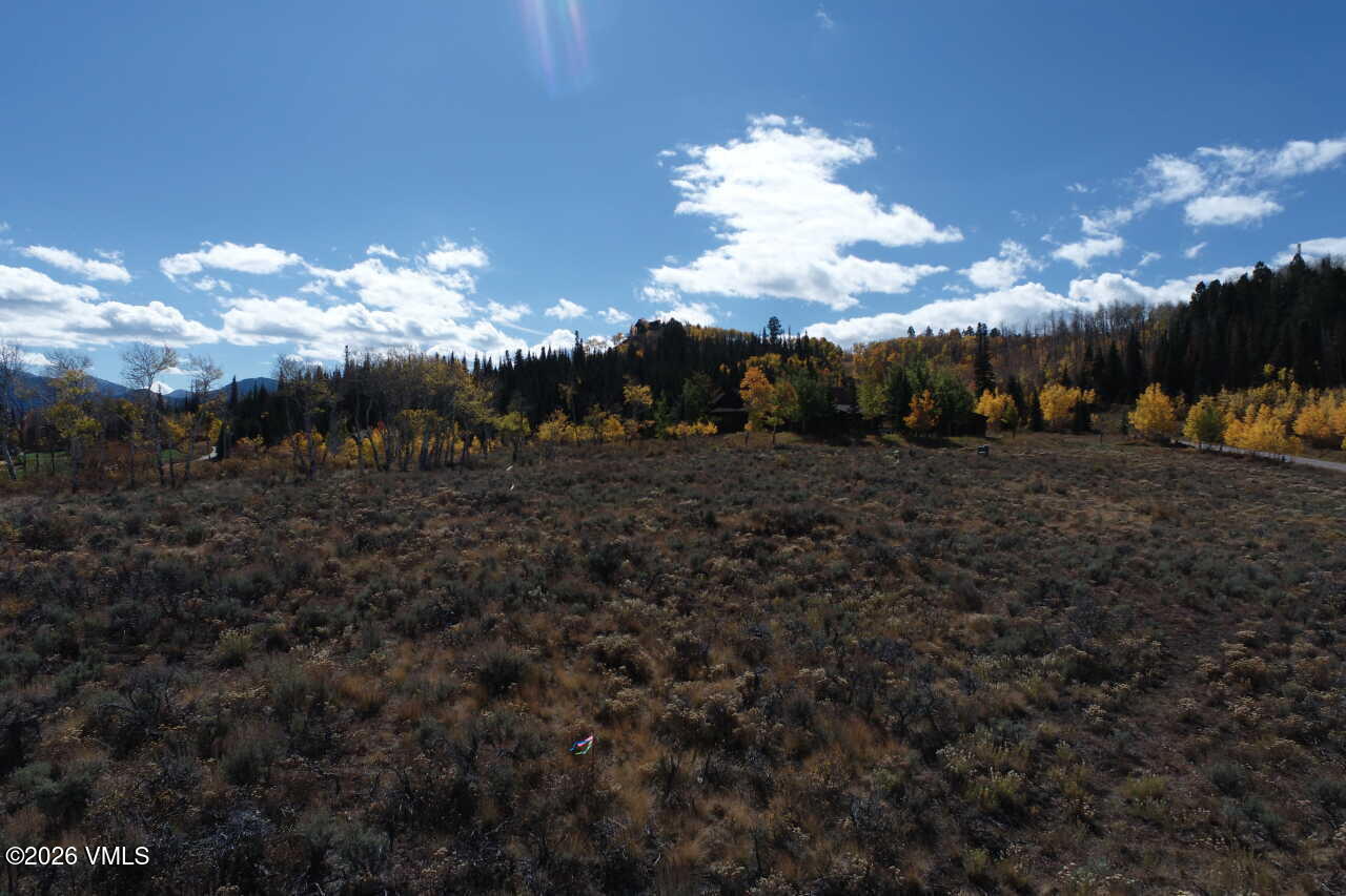 36 Webb Peak Edwards, CO 81632 - Photo 14 of 18 a view of a big yard of the house