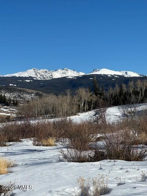 36 Webb Peak Edwards, CO 81632 - Photo 4 of 18 a view of a yard