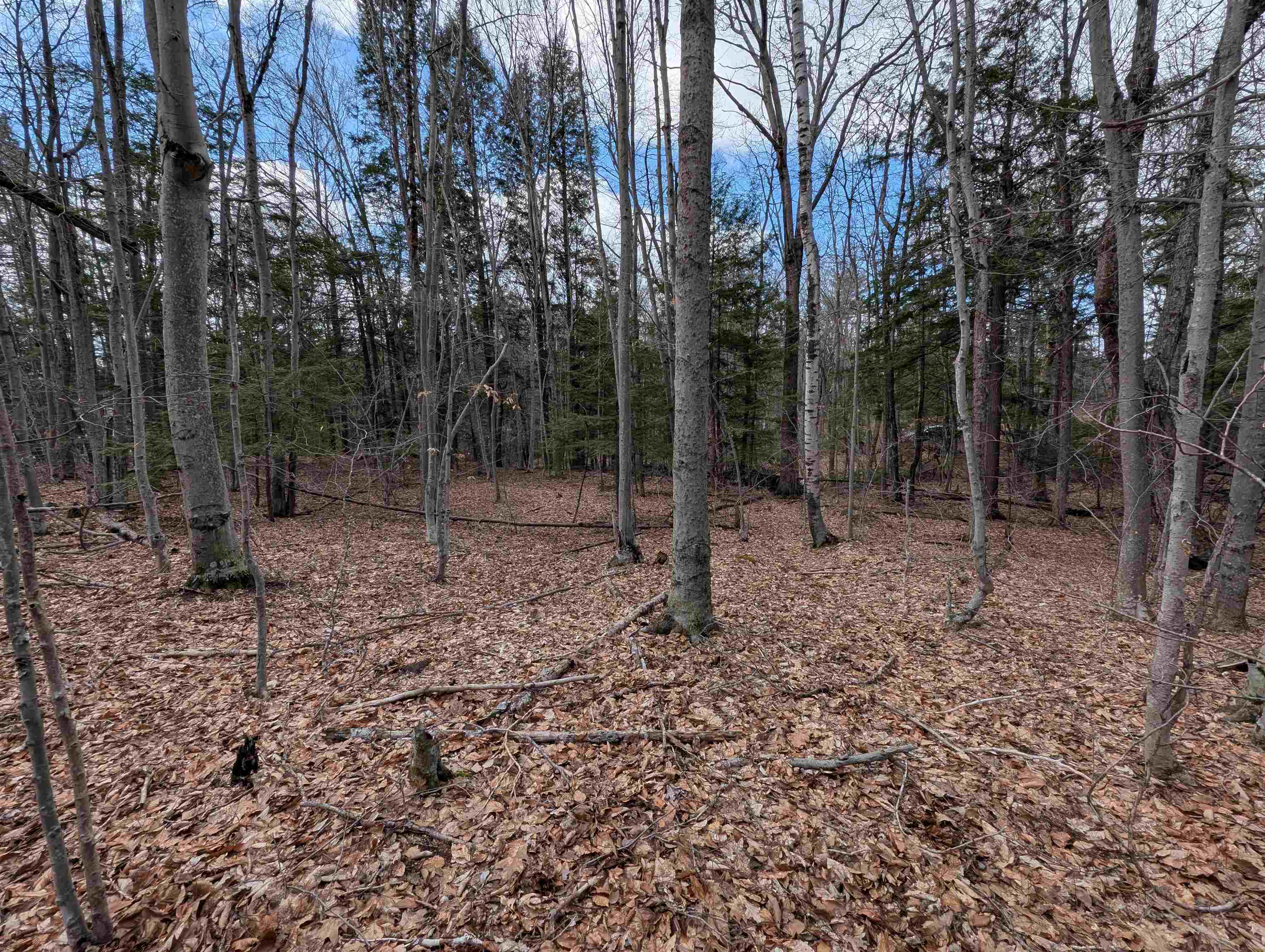 21 Jewett Road Weare, NH 03281 - Photo 15 of 18 Gallery Image 15