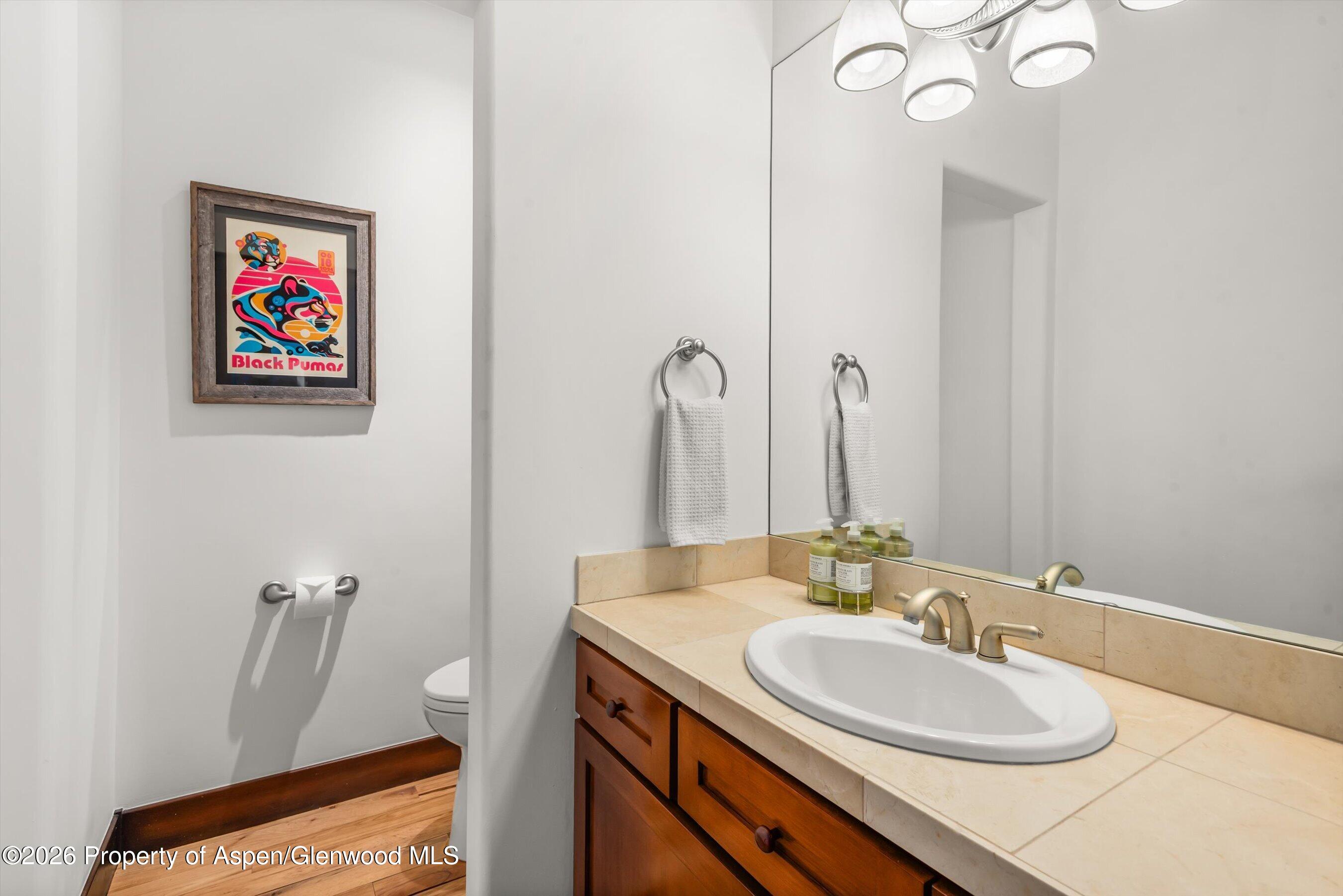 410 Meadow Court Basalt, CO 81621 - Photo 26 of 30 a bathroom with a sink a mirror and a toilet