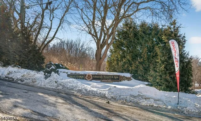 a view of a backyard with large trees