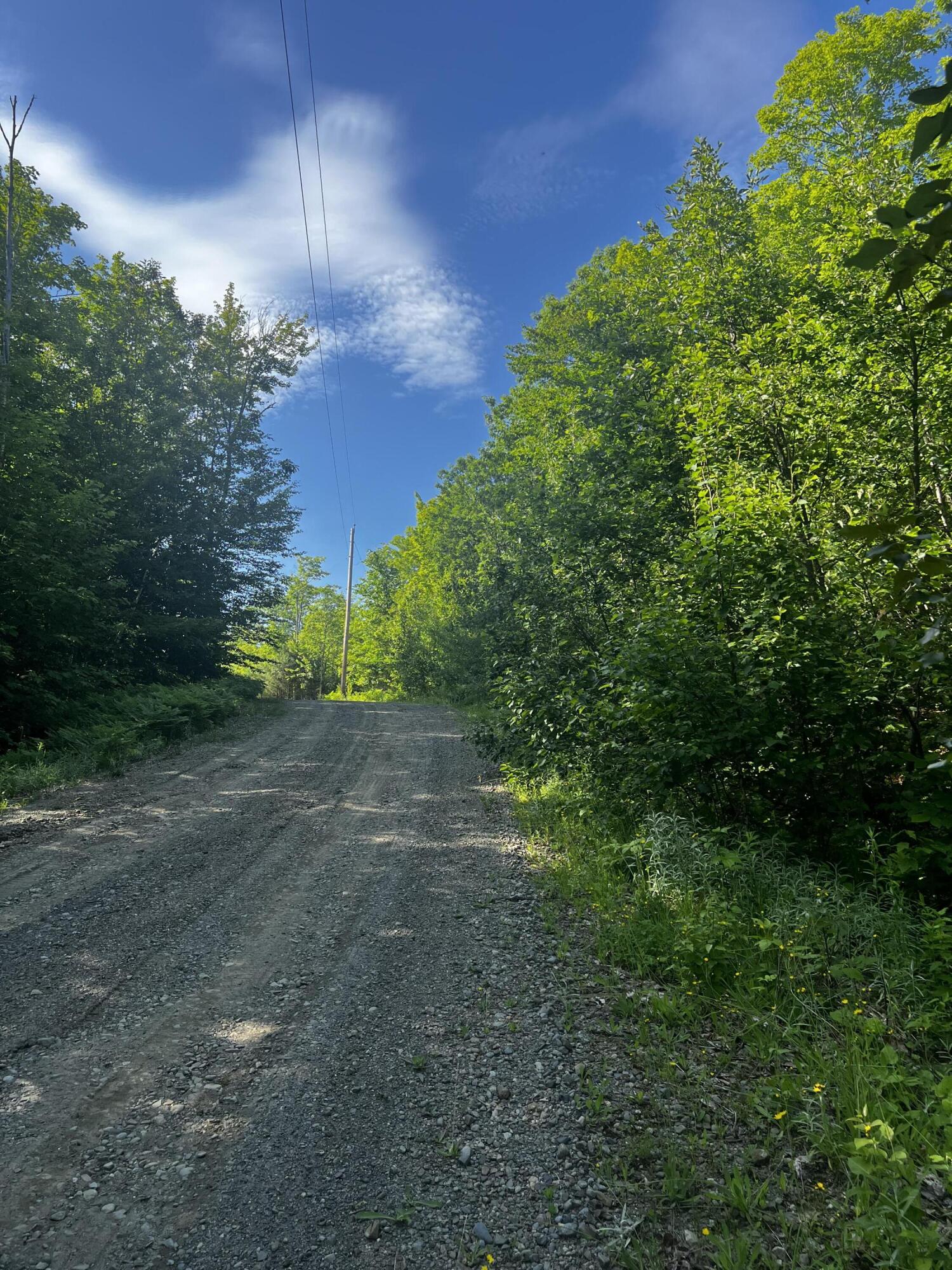 Lot 7 Mooseley Ridge Road Phillips, ME 04966 - Photo 17 of 18 Road
